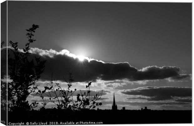 Norwich Cathedral Mono Sunset Canvas Print by Sally Lloyd