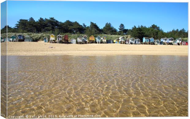 Beach huts from the water at Wells-Next-the-Sea  Canvas Print by Sally Lloyd