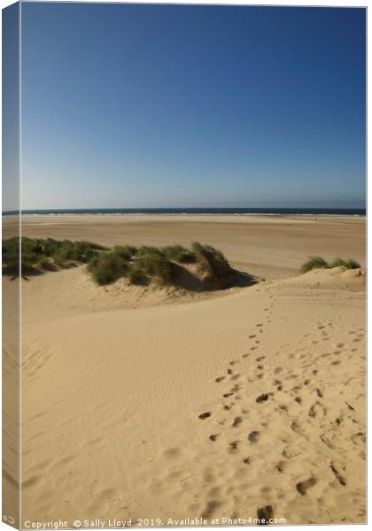 Holkham towards the sea. Canvas Print by Sally Lloyd