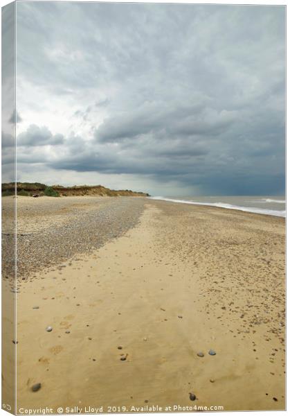 Up the beach at Covehithe Canvas Print by Sally Lloyd