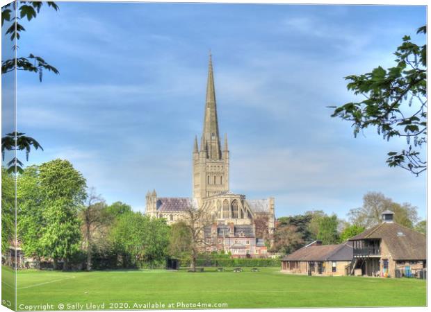 Norwich Cathedral April 2020 Canvas Print by Sally Lloyd