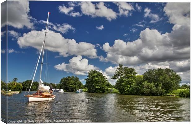 Summer day on the River Bure, Norfolk UK Canvas Print by Sally Lloyd