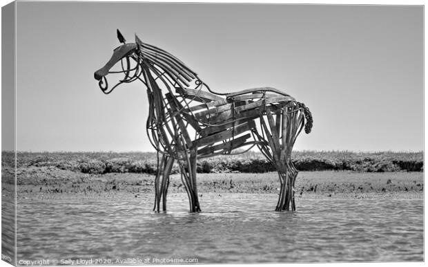 The Lifeboat Horse at Wells-next-the-Sea  Canvas Print by Sally Lloyd
