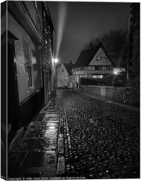 Elm Hill at night, mono Canvas Print by Sally Lloyd