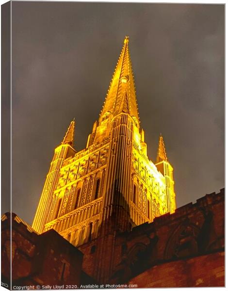 Golden Wonder at Norwich Cathedral  Canvas Print by Sally Lloyd