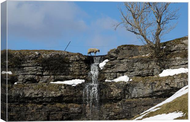 crossing the falls Canvas Print by Annie Page