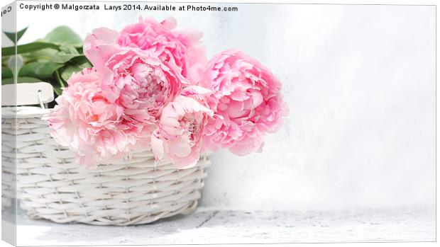 Beautiful soft pink peonies artistic still life Canvas Print by Malgorzata Larys