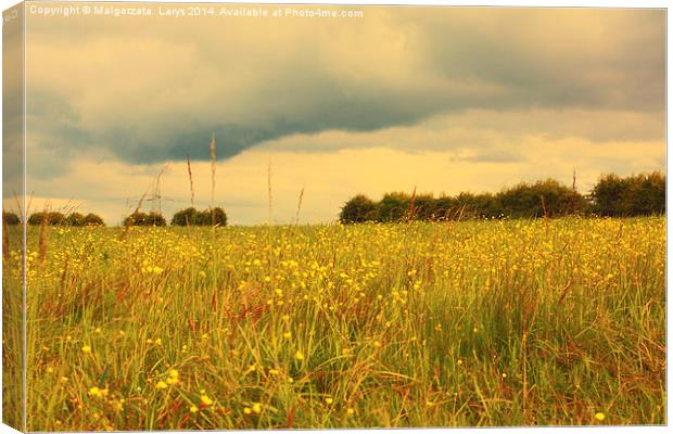 Scenic Scottish landscape with meadow of wildflowe Canvas Print by Malgorzata Larys