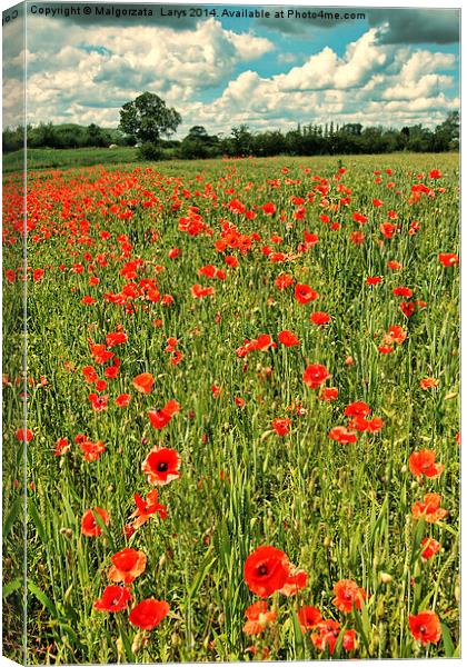 Fields or wild red poppies, vintage style Canvas Print by Malgorzata Larys