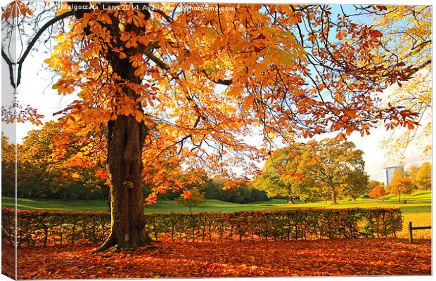 Beautiful, sunny Autumn in the park Canvas Print by Malgorzata Larys