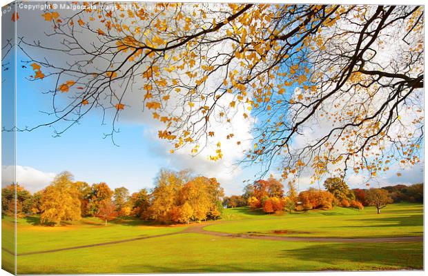 Beautiful, sunny autumn in the park Canvas Print by Malgorzata Larys