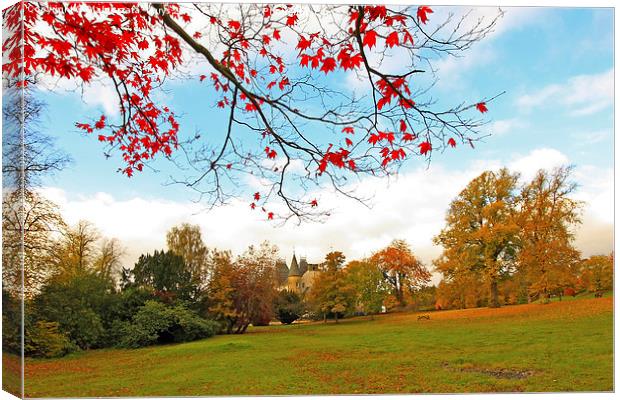 Beautiful, sunny autumn in the park of Falkirk Canvas Print by Malgorzata Larys