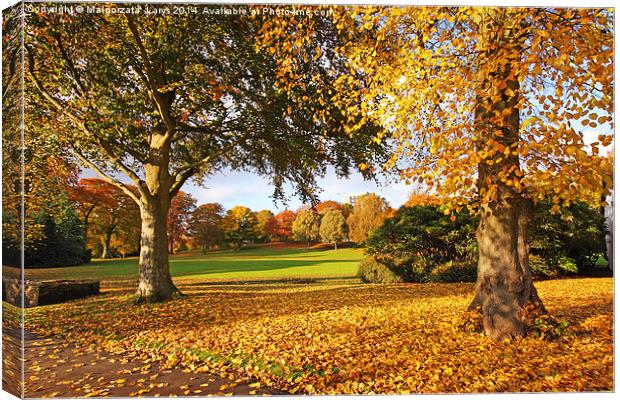 Wonderful autumnal scene in the park of Falkirk, S Canvas Print by Malgorzata Larys