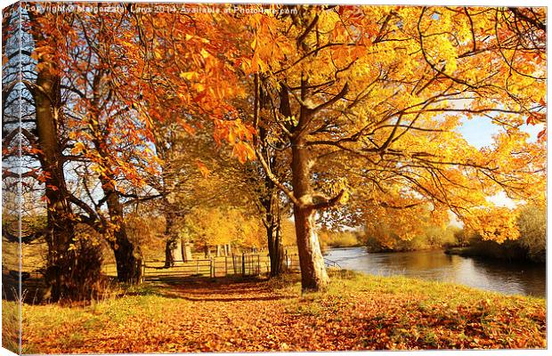Beautiful Autumn in the Park, Scotland Canvas Print by Malgorzata Larys