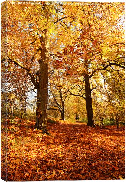 Beautiful Autumn in Motherwell Park, Scotland Canvas Print by Malgorzata Larys