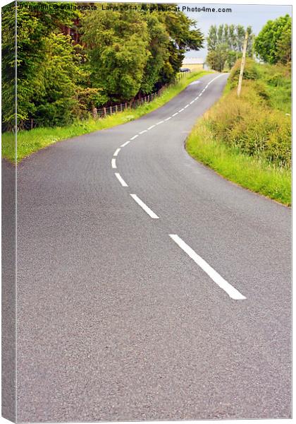 Lovely  road  on summer day in Scotland Canvas Print by Malgorzata Larys