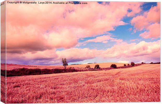 Beautiful dreamy fields in Scotland Canvas Print by Malgorzata Larys