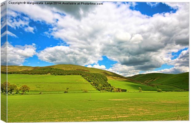 Scottish Spring landscape with hills and white clo Canvas Print by Malgorzata Larys