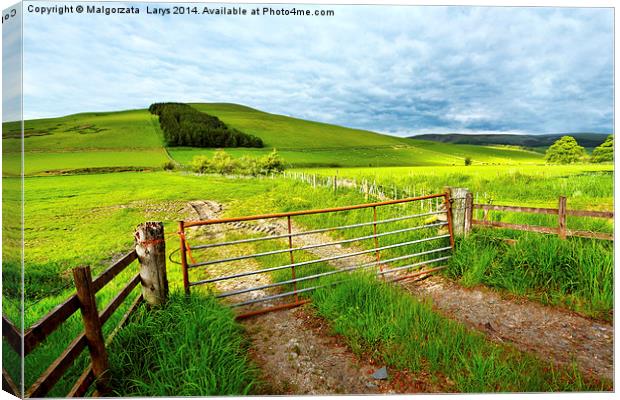 Spring rural landscape in Scotland  Canvas Print by Malgorzata Larys