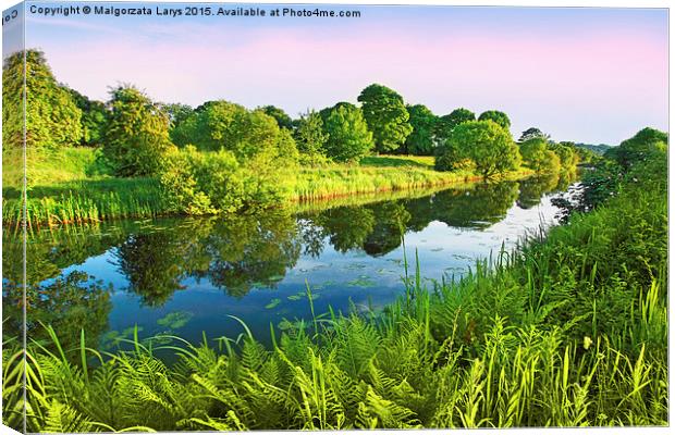 Forth and Clyde Canal, Scotland Canvas Print by Malgorzata Larys