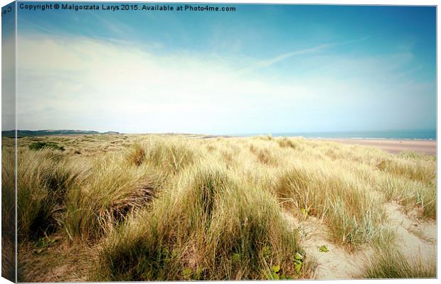 Beautiful beach with sand dunes and blue sky in UK Canvas Print by Malgorzata Larys
