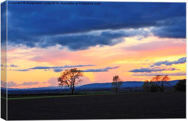 Sunset in Scottish countryside Canvas Print by Malgorzata Larys