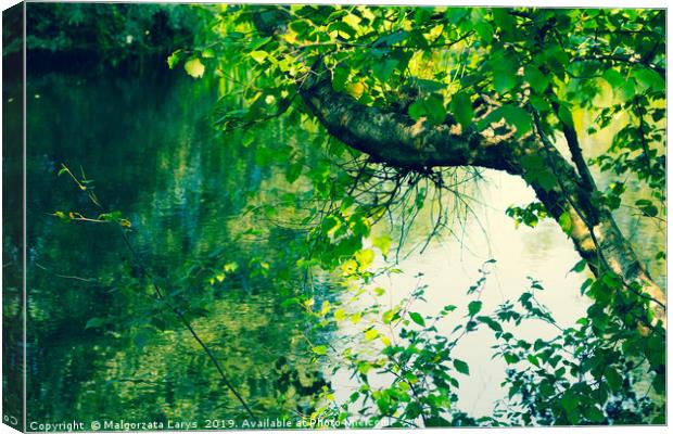 Beautiful tree branches over water in Summertime Canvas Print by Malgorzata Larys