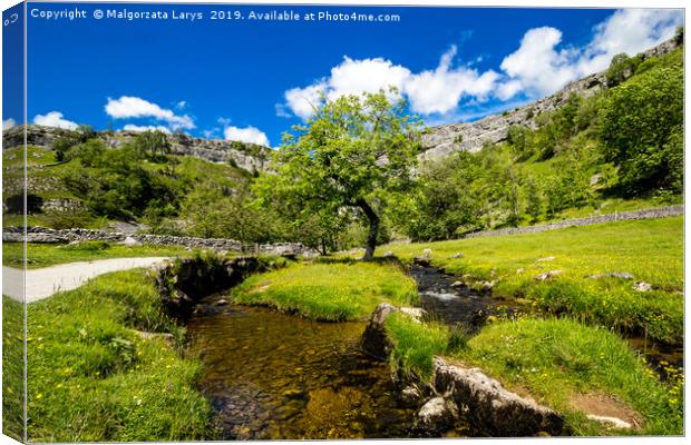 Malham Cove Yorkshire Dales National Park Tourist  Canvas Print by Malgorzata Larys