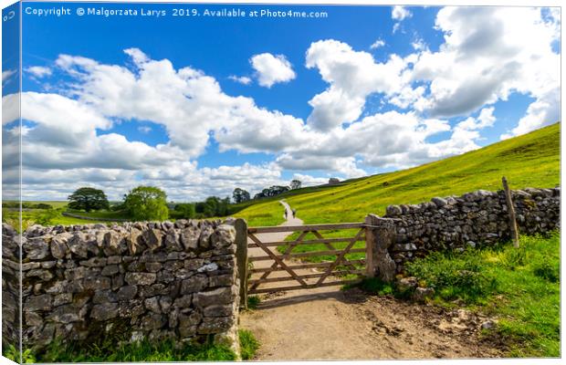 Old, stone wall on the way to Malham Cove Yorkshir Canvas Print by Malgorzata Larys
