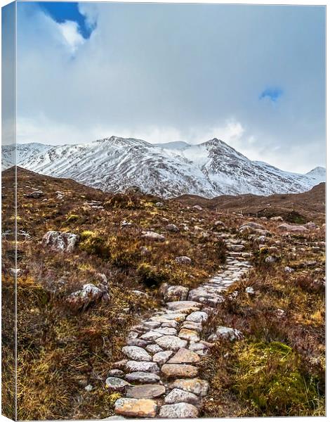 Path to the Mountain Canvas Print by Ellie Rose