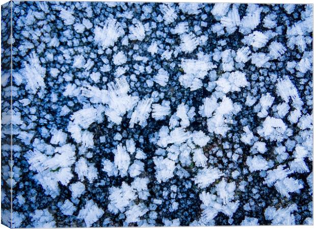 Ice Crystals Canvas Print by Ellie Rose