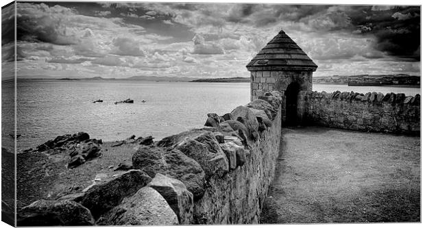 Watch Tower at Ravenscraig Canvas Print by David Forrester