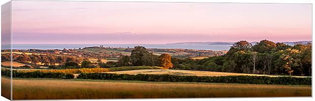 Devons Panoramic Coast Canvas Print by Dave Rowlatt
