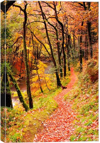 Autumn on the Coleridge Way Canvas Print by Dave Rowlatt