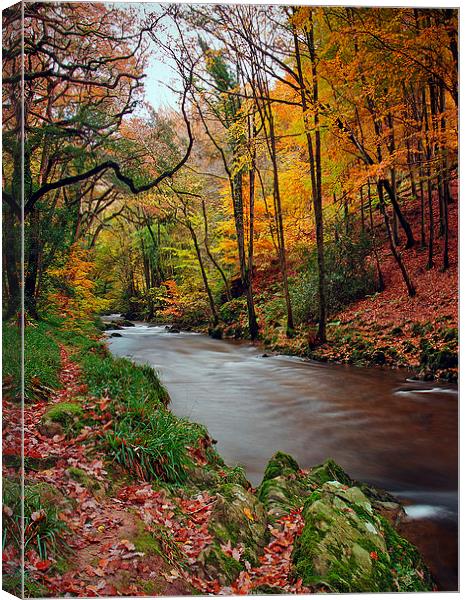  East Lyn Way Canvas Print by Dave Rowlatt