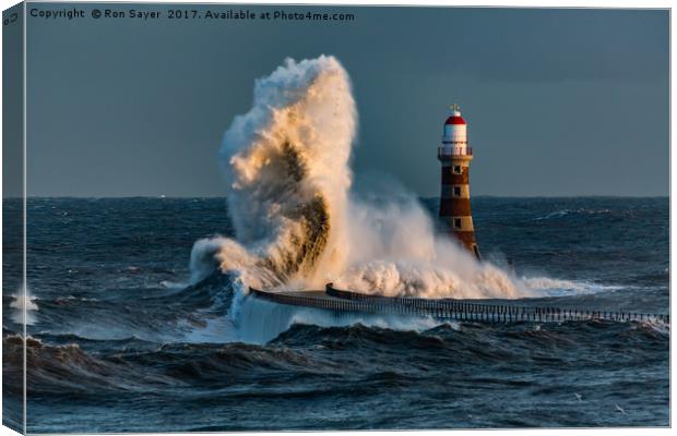 Where The Sea Meets Land Canvas Print by Ron Sayer