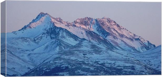  Majestic Mountain Canvas Print by Erin Hayes