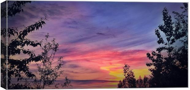 Red's Sunset, Alaska Canvas Print by Erin Hayes