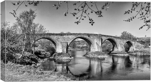  Stirling Bridge Canvas Print by Ian Young