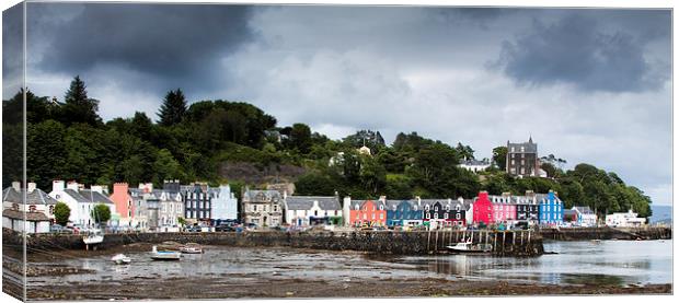  Dark clouds over Tobermory Canvas Print by Ian Young