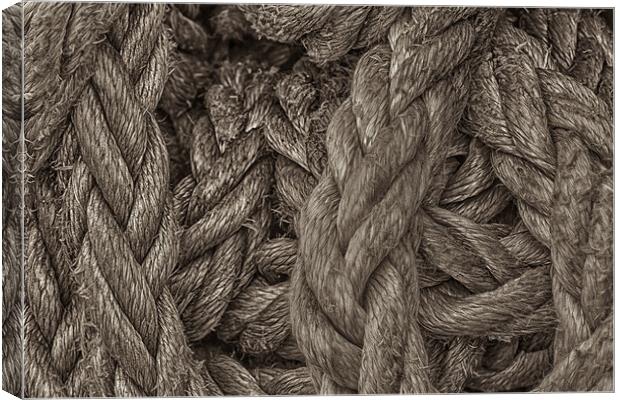 Rope Canvas Print by Mark Godden