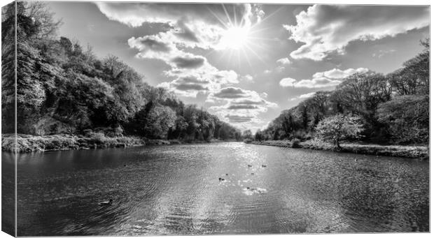Creswell Crags in monochrome Canvas Print by Mark Godden