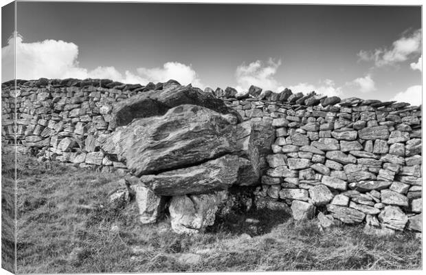 Glacial erratic in a wall, photographed in monochrome Canvas Print by Mark Godden