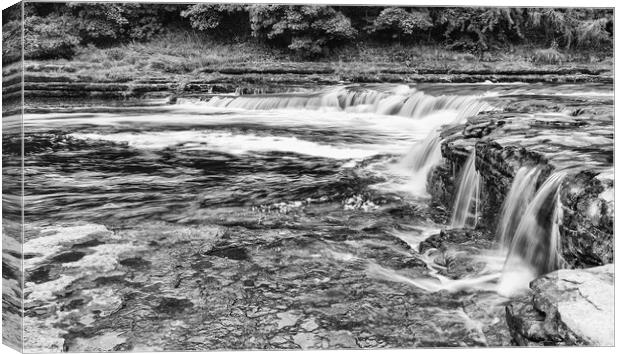 Aysgarth Falls Canvas Print by Mark Godden