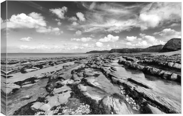 Kilve Beach in monochrome Canvas Print by Mark Godden