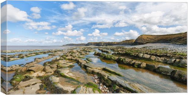 Kilve Beach Canvas Print by Mark Godden