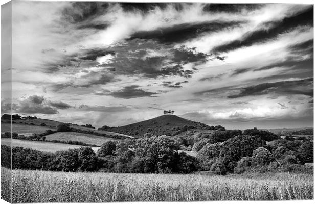  Colmers Hill. Canvas Print by Mark Godden