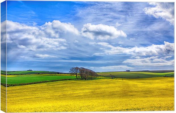  Summer Fields Canvas Print by Mark Godden