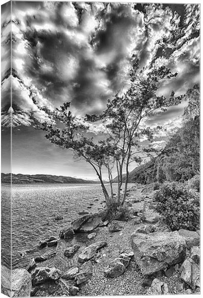  Tree at Loch Ness (in mono) Canvas Print by Mark Godden