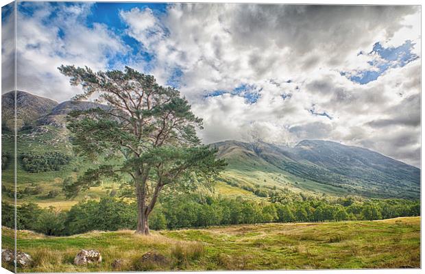  Ben Nevis Canvas Print by Mark Godden